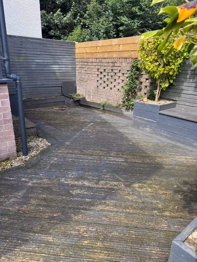 Green, algae-covered decking before cleaning