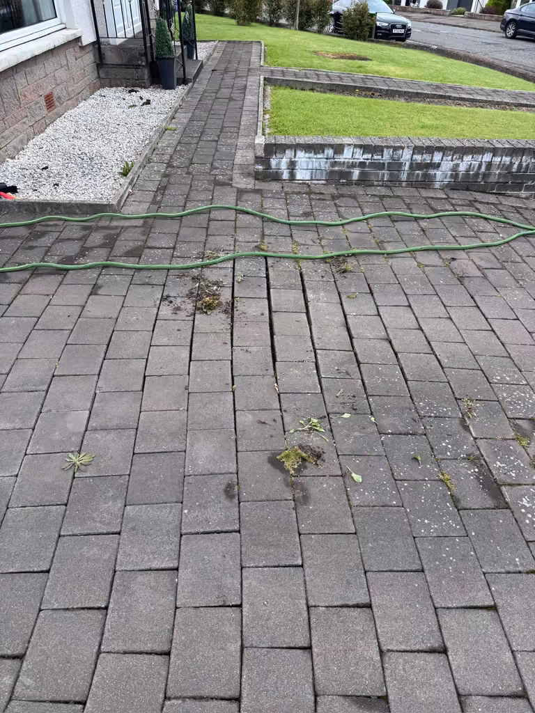 Moss-covered block paving driveway before pressure washing